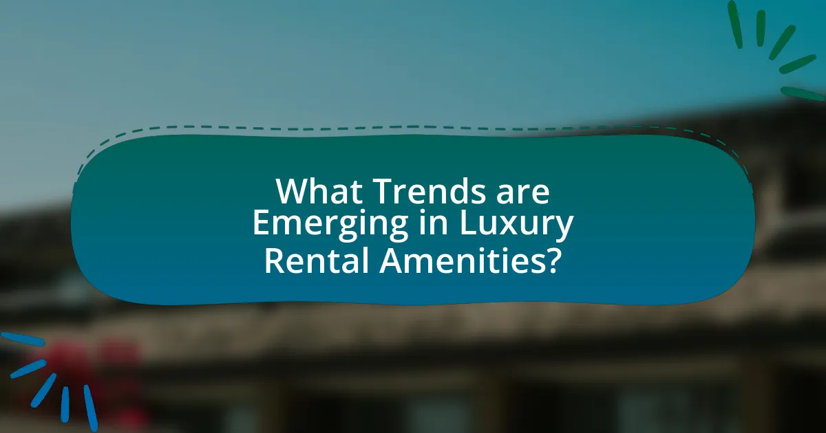 What Trends are Emerging in Luxury Rental Amenities?